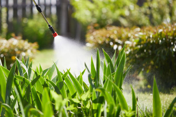 Tamper-Resistant Bait Stations for Rodents in Larned