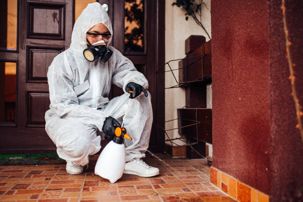Attic and Crawl Space Rodent Treatment in Larned