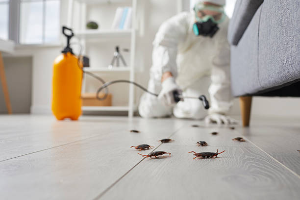 Commercial Rodent Management in Larned